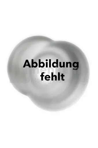 FELGE 4.50 A X 6, STAHL