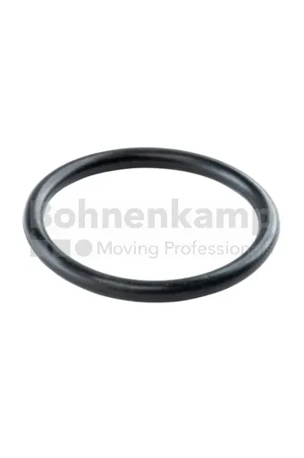 O-RING